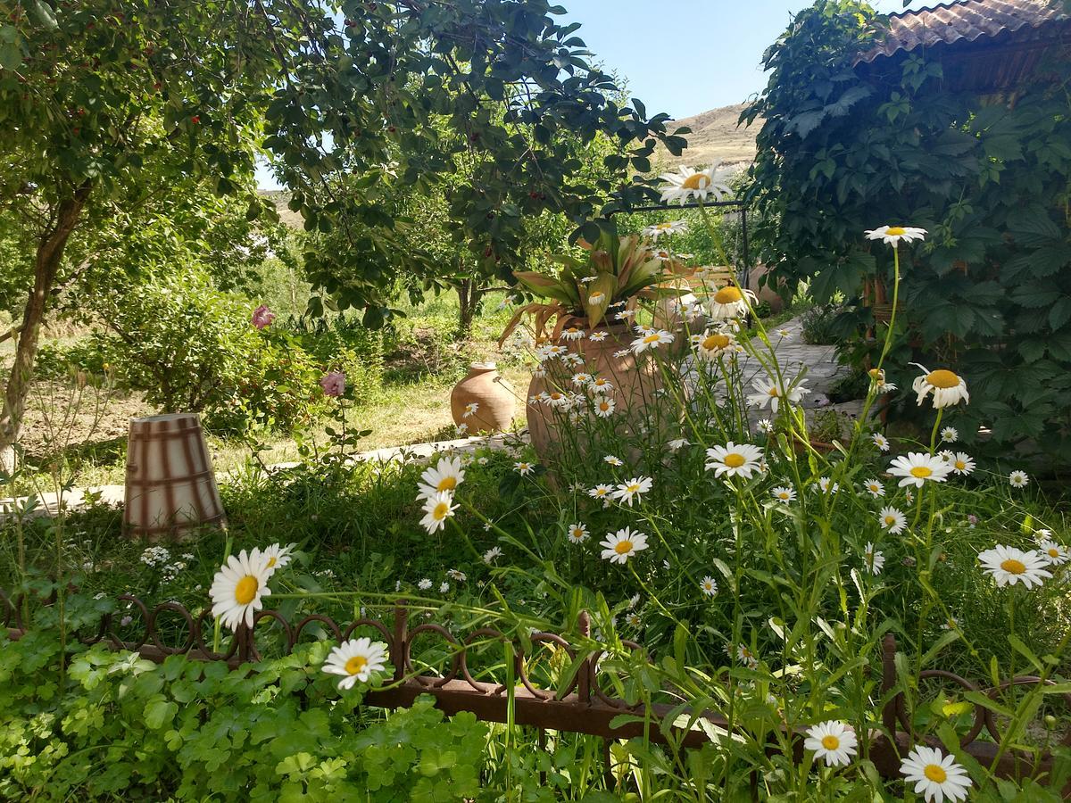 Gayane & Khikar B&B Chʼiva Exteriör bild